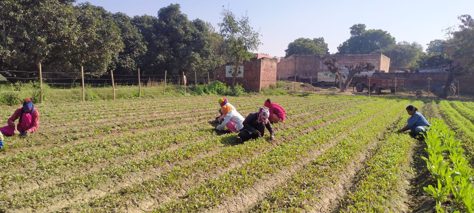 women in agriculture